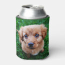 Search for puppy can coolers Cute