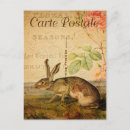 Search for hare paintings postcards Rabbit