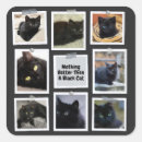 Search for black cat stickers Party