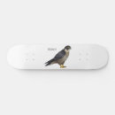 Search for cartoon skateboards Bird