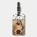 Search for dog luggage tags Pattern