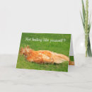 Search for chicken get well cards Humour