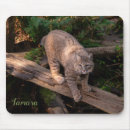 Search for wildcat electronics Big cat