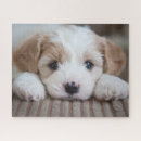 Search for baby animal puzzles Dog