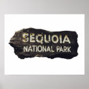 Search for sequoia posters Hiking