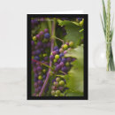 Search for grape cards Purple