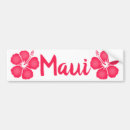 Search for hibiscus bumper stickers Floral