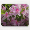 Search for azalea mouse mats Nature