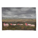 Search for sheep pillowcases Animals