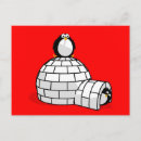 Search for igloo postcards Penguin