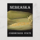 Search for cornhuskers postcards Nebraska