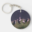 Search for puffin key rings Wildlife
