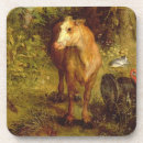 Search for farmyard coasters Studies