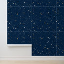 Search for meteors art Space