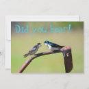 Search for little birdie invitations Birds
