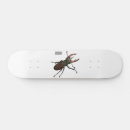 Search for beetle skateboards Insect