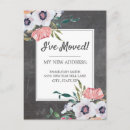 Search for black and white pink postcards Cute