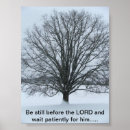Search for big tree posters Snow