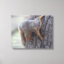 Search for squirrel photo art Animals