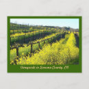 Search for colour imaging postcards Photos