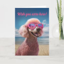 Search for pink poodle cards Dogs