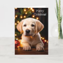 Search for puppy christmas cards Labrador