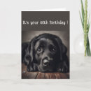 Search for funny 60th birthday cards Black