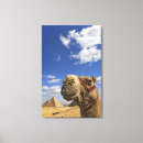 Search for camels canvas prints Egypt