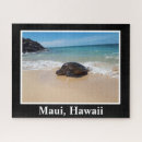 Search for turtle image Picture
