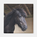Search for viking magnets Horse