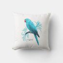 Search for indian ringneck parrot Parrots