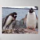 Search for penguin family posters Ocean