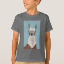Search for a spec tshirts Llamas