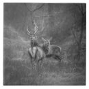 Search for deer stag tiles Nature