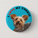 Search for yorkie accessories Animal