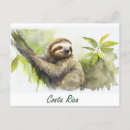 Search for monkeys horizontal postcards Jungle