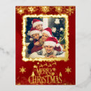 Search for foto postcards Merry christmas