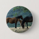 Search for foal accessories Mustang
