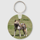 Search for wild dog key rings Animals