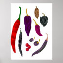 Search for chilli chef posters Pepper