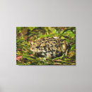 Search for alberta wildlife posters Rural scene