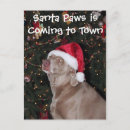 Search for weimaraner christmas cards Dog