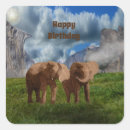 Search for oils stickers African