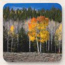 Search for broadleaved Colour