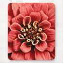 Search for zinnia mouse mats Botanical