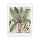 Search for school seasonal cards Flowers