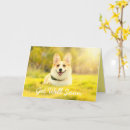 Search for funny corgis postcards For her