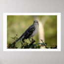 Search for mocking posters Nature