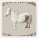 Search for white pony stickers Animal