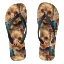 Search for yorkshire terrier shoes Yorkie